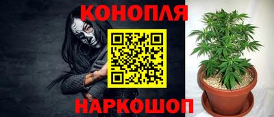 мяу мяу мука Кулебаки
